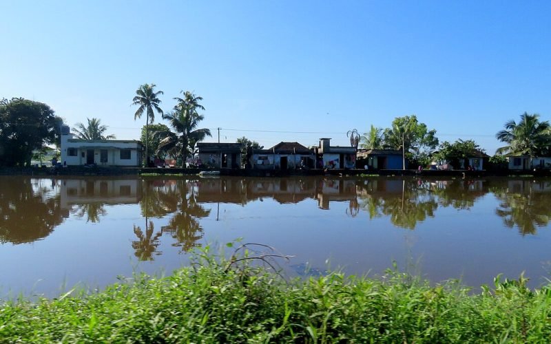 ഭൂമിയും റവന്യൂവും