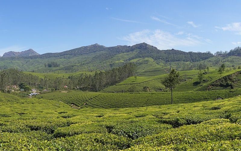 മൂന്നാർ യാത്രാ പ്ലാൻ