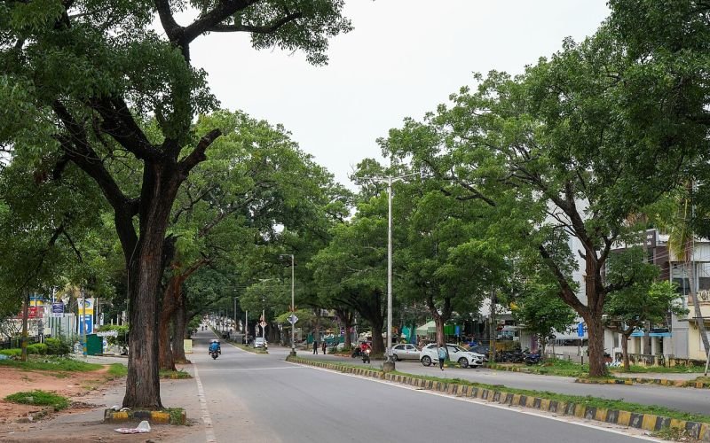 മൈസൂരു യാത്ര